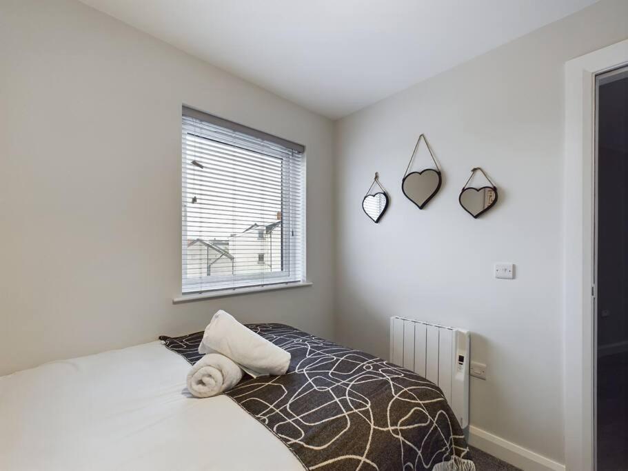 Apartment Cozy 2-bed Belfast